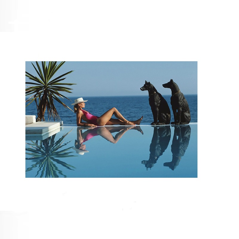 Retro Poolside Host Luxury Lif - Luxury Lifestyle Us reseña y precio